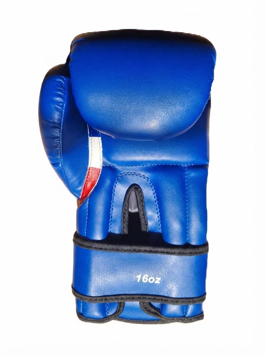 Gants TEMPEST Bleu - Paume